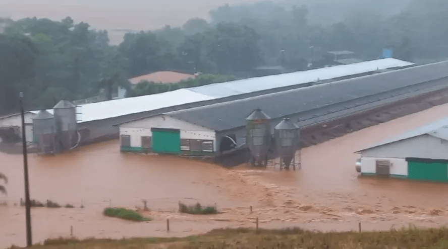 En Paran Las Lluvias Arrasan Con Establecimientos Av Colas Mueren