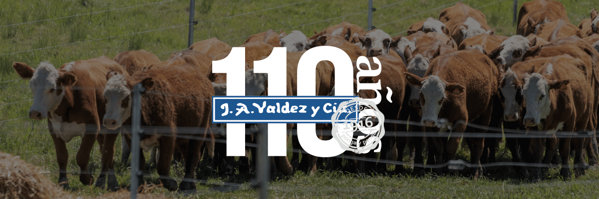1200x400 (15) Valdez y cia
