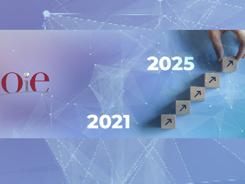 La OIE presentó el plan estratégico 2021-2025