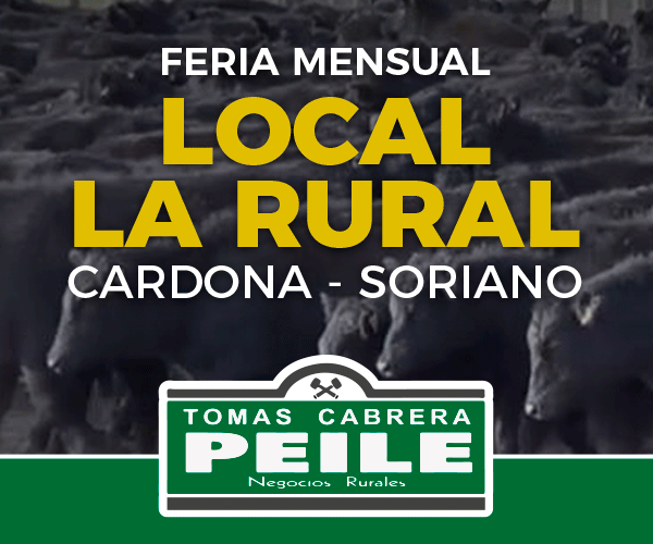 20211122 - CABRERA PEILE - 600x500