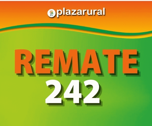 20211122 - PLAZA - 600X500
