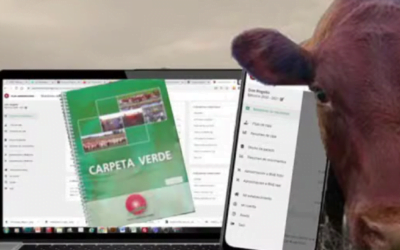 Sube el ganado, pero se duplica el valor de los fertilizantes