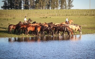 Por la seguridad hídrica.