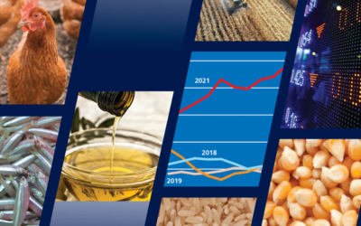 Informe de FAO: En 2021, la factura mundial de importación de alimentos será récord