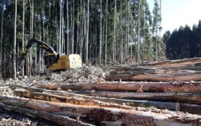 Ya rige la prohibición de quemas al aire libre