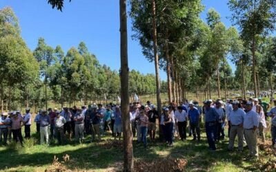 Marfrig acompaño la fundación del la Sociedad de Silvopastoreo