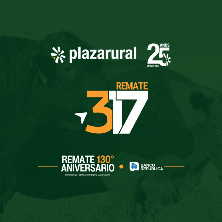 GIF NUM O Y V 10 - 768x768 Plaza Rural