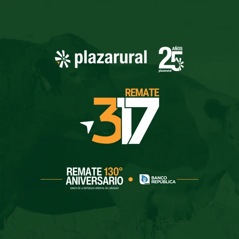 GIF NUM O Y V 10 - 768x768 Plaza Rural