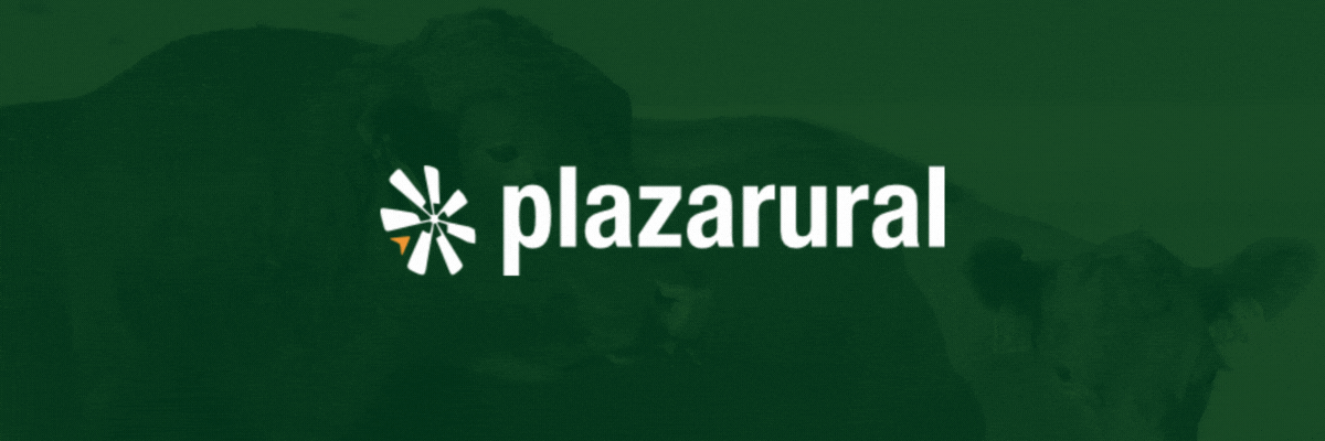 plaza rural