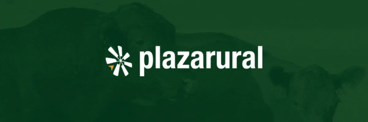 plaza rural