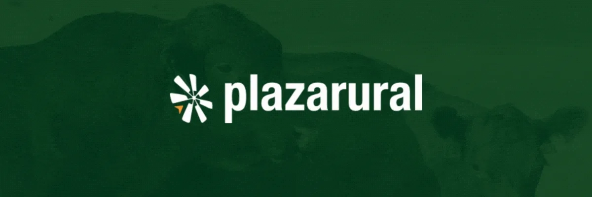 Plaza Rural