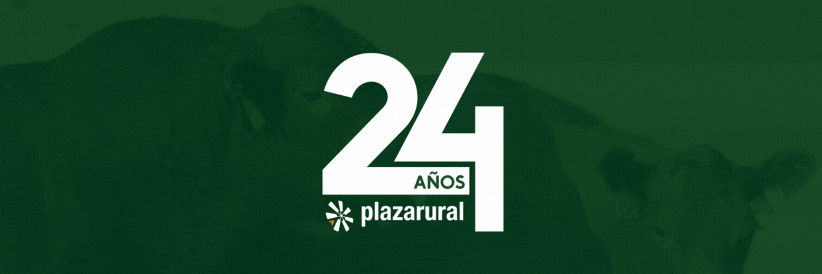 Plaza