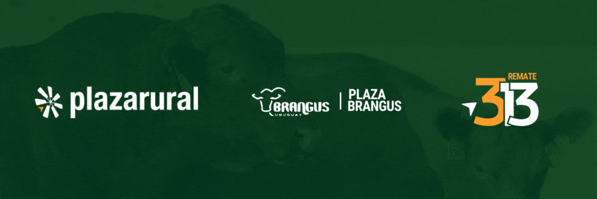 GIF NUM O Y V 9 - 1200x400