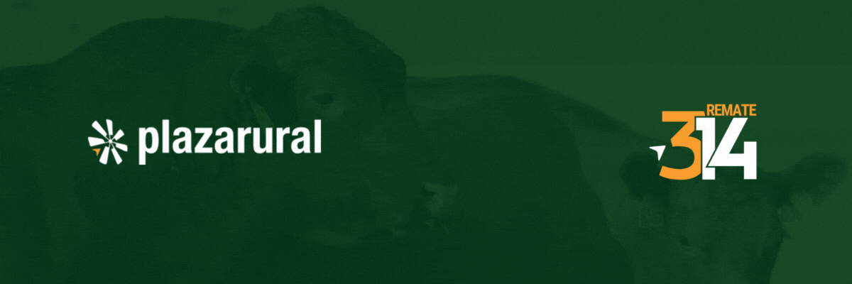 GIF NUM O Y V 9 - 1200x400