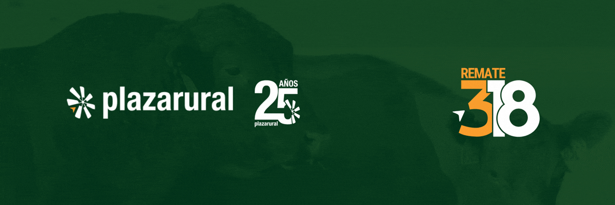 GIF NUM O Y V 9 - 1200x400