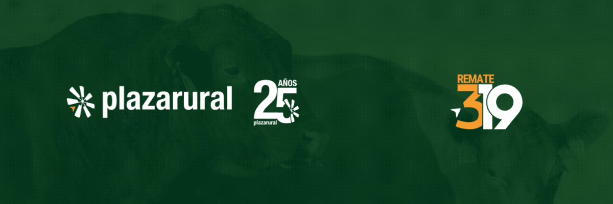 GIF NUM O Y V 9 - 1200x400 Plaza Rural