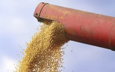 Informe de mercado: Expectativa por el inicio de conversaciones entre China y EE.UU.