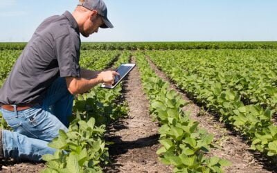 Cotización de los productos agrícolas