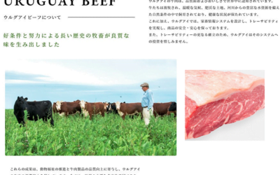 Ahora la carne uruguaya, tiene su web en Japón