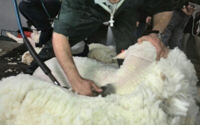 Esta semana el IME bajó US$ 9 centavos.