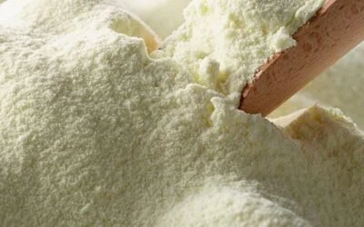 Colocaciones de productos lácteos en el exterior aumentaron 14%