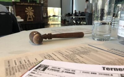 Plaza Angus colocó el 91% de la oferta