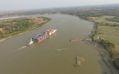 El agro impulsa las exportaciones de Paraguay