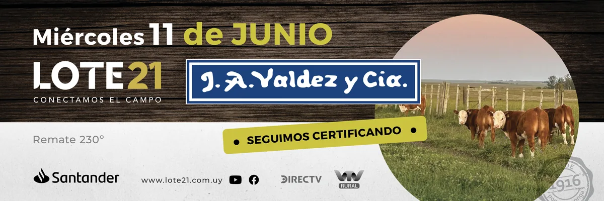 Valdez y cia