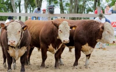 Valdez remató los toros y Criollos de El Tala