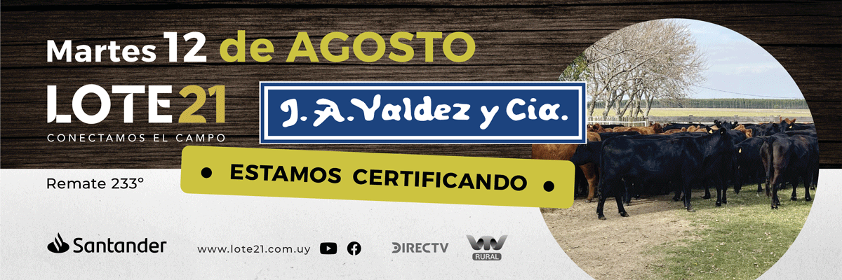 Valdez y cia