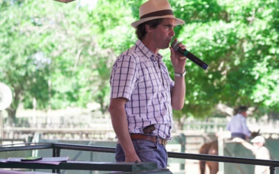 Hoy Valdez remata en Don Tito