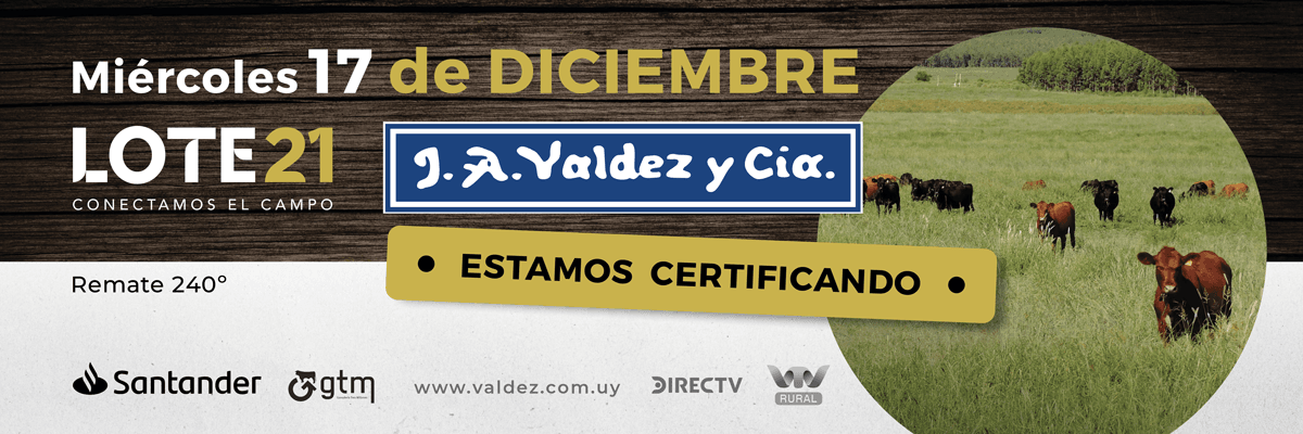 Valdez_1200x400_TEC Valdez y cia