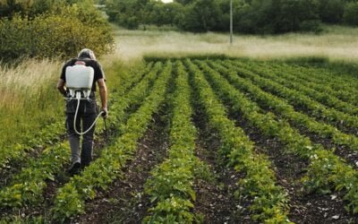 América busca posicionarse unida respecto a medidas sanitarias y fitosanitarias
