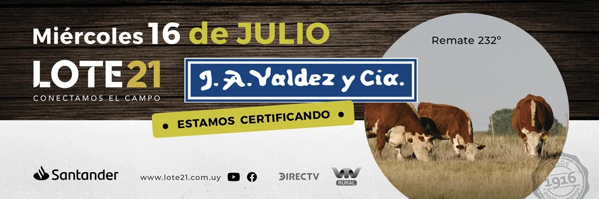 Valdez y cia