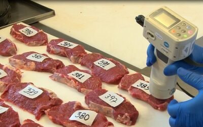 “La carne tiene aportes nutricionales únicos comprobados y en Uruguay no negocia la inocuidad”