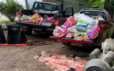La Policía aclaró casos de faena clandestina y abigeato, en este último caso el autor era un productor rural