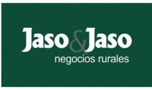 Jaso y Jaso