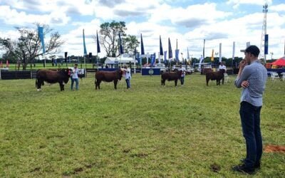 Braford Paraguay tiene los jurados más jóvenes, de 20 y 21 años