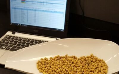 Calidad de los laboratorios de la cadena de granos oleaginosos