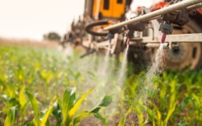 Servicios Agrícolas actualizó valores de los límites máximos de plaguicidas.