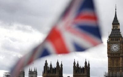 Por falta de personal, Reino Unido faena vacunos en el extranjero