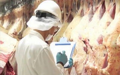 Servicios Ganaderos monitorea residuos químicos en alimentos