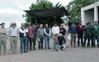 Los toros de San Gerardo promediaron en US$ 2.761