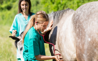Semana de Concientización sobre la Resistencia Antimicrobiana