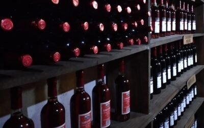 Organización Internacional del Vino informó sobre caída de la producción global.