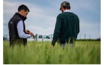 Diego Guigou: Se espera que en “trigo y cebada haya buena productividad”.