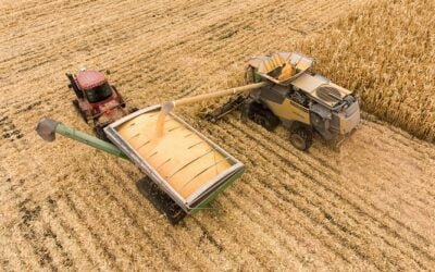 Informe de mercado: Semana loca para las bolsas; los granos prosperan.