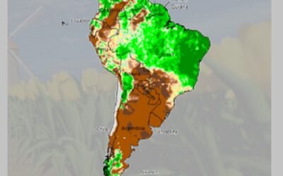 La seca y su impacto en la producción en Argentina.