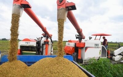 China busca una producción más sostenible para no perder inversiones extranjeras.