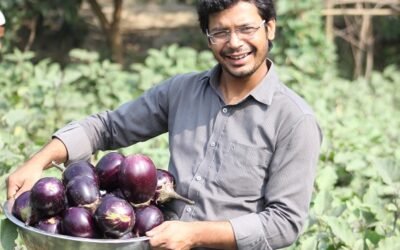 Cinco razones por las que el debate sobre los OMG ha terminado.